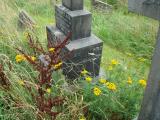 image of grave number 354910